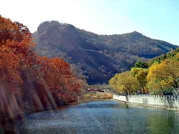 小型中药制丸机价格，丰田威驰论坛